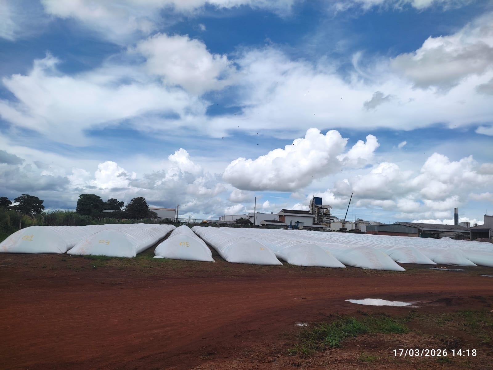 Conjunto de silos-bolsa junto a unidade agrícola