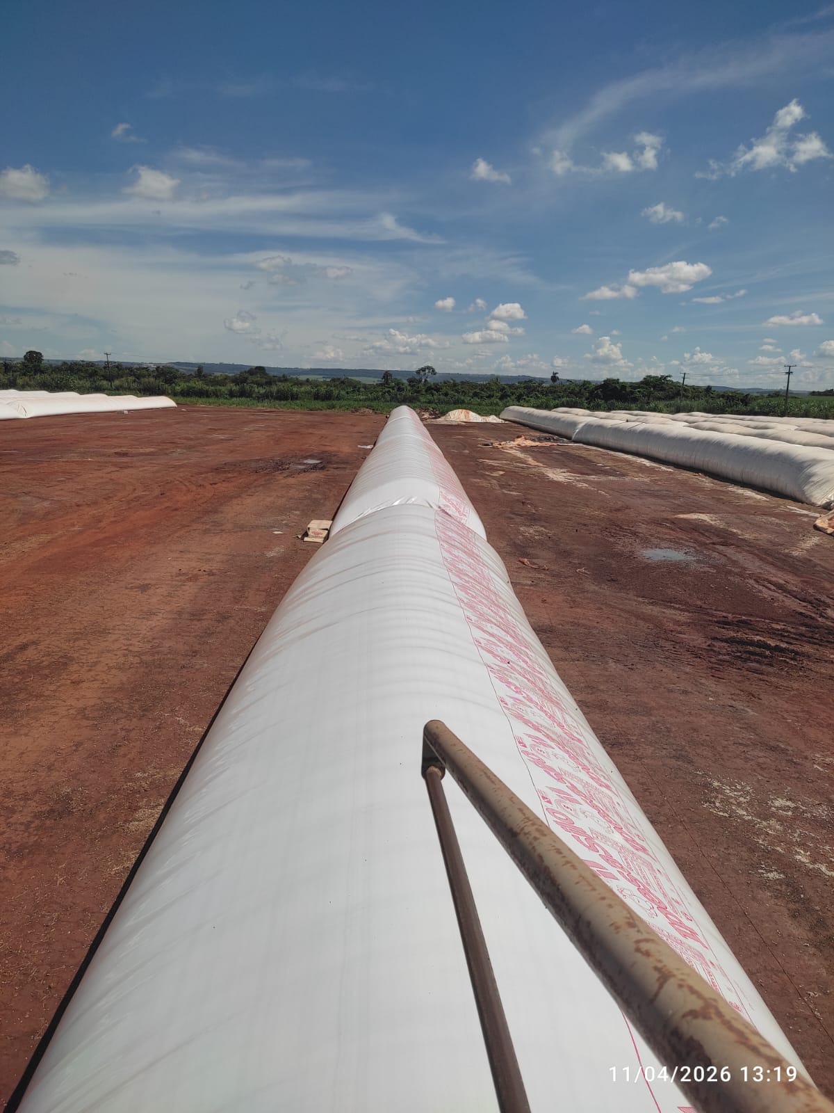 Silo-bolsa branco instalado em terreno agrícola